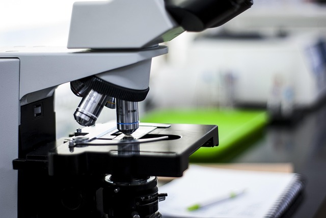 高性能耐黃變體系用高活性催化劑，有效抵抗紫外線和光照導致的黃變