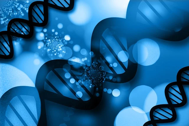 軟泡聚醚多元醇，實現聚氨酯泡沫的定制化性能和更長的使用壽命